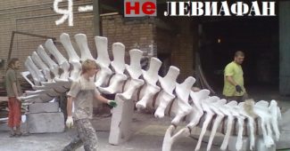 Я — не Левиафан