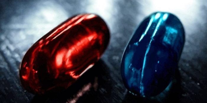 Выбор чайлдфри: существует ли в Церкви «гонка» многодетности?