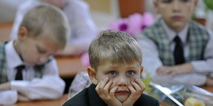 ЭТО НЕ РЕФОРМА, ЭТО ДИВЕРСИЯ Священнослужители о словесности в школе