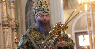 Травля амурского архиерея похожа на политический заказ