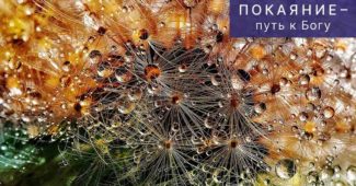 «Вокруг меня святые», – рассказ священника о том, как он впервые исповедовал